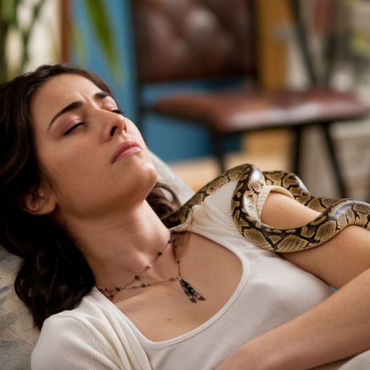 Biblical Meaning of Snake Dreams: Deception, Temptation, and Divine Wisdom Common Snake Dream Scenarios and Their Potential Biblical Meanings
