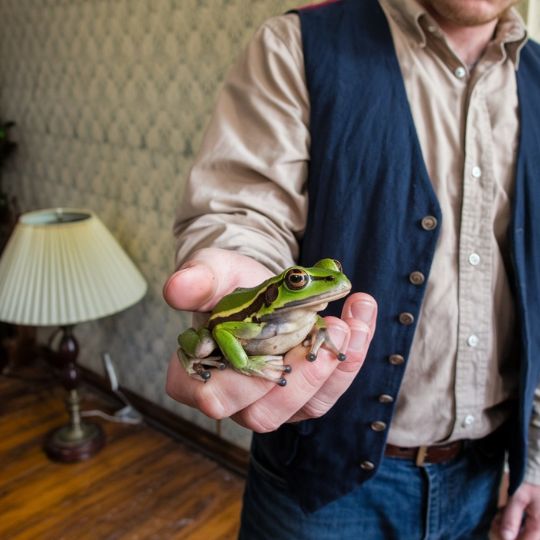 Dreams of Frogs: Unveiling Biblical Meanings & Spiritual Interpretations Dreams of Frogs_ Unveiling Biblical Meanings & Spiritual Interpretations