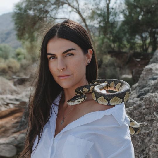 Biblical Meaning of Snake Dreams: Deception, Temptation, and Divine Wisdom Interpreting Your Snake Dream Through a Biblical Lens