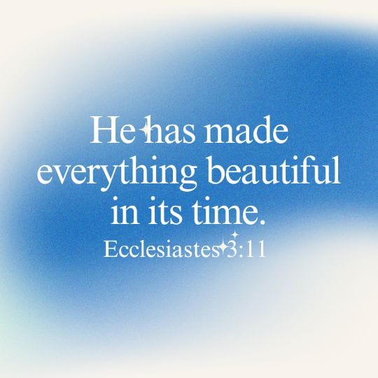 Ecclesiastes 3_11 bible verse for number 1010